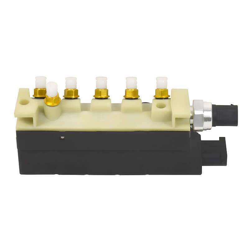 Air Suspension Compressor Valve Block 2203200258 for Mercedes-Benz S-Class W220