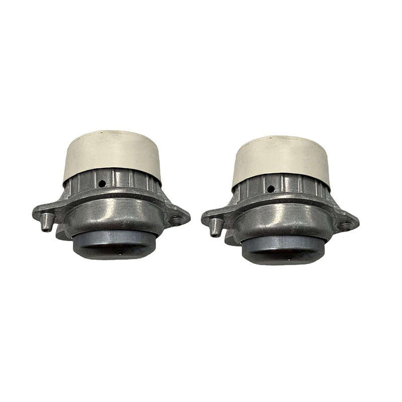 2PCS Engine Motor Mount 2222405117 2222405017 For Mercedes Benz S550 S560