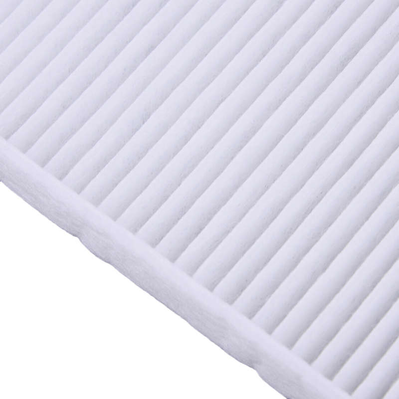Fit For BMW X5 E70 F15 F85 X6 E71 64319194098 64316945596 Cabin Air Filter A2