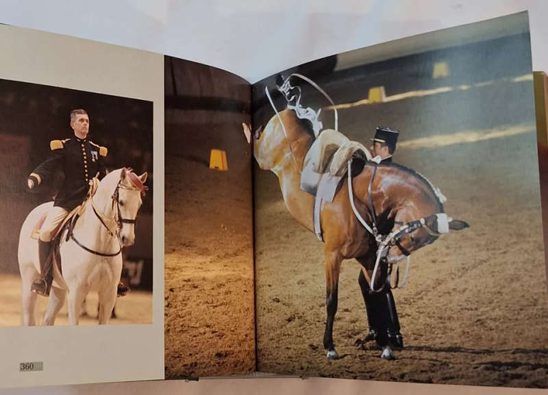 Horses