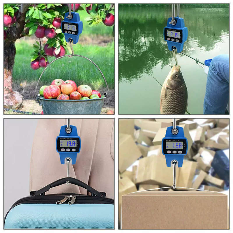300kg Portable Mini Crane Hanging Scale