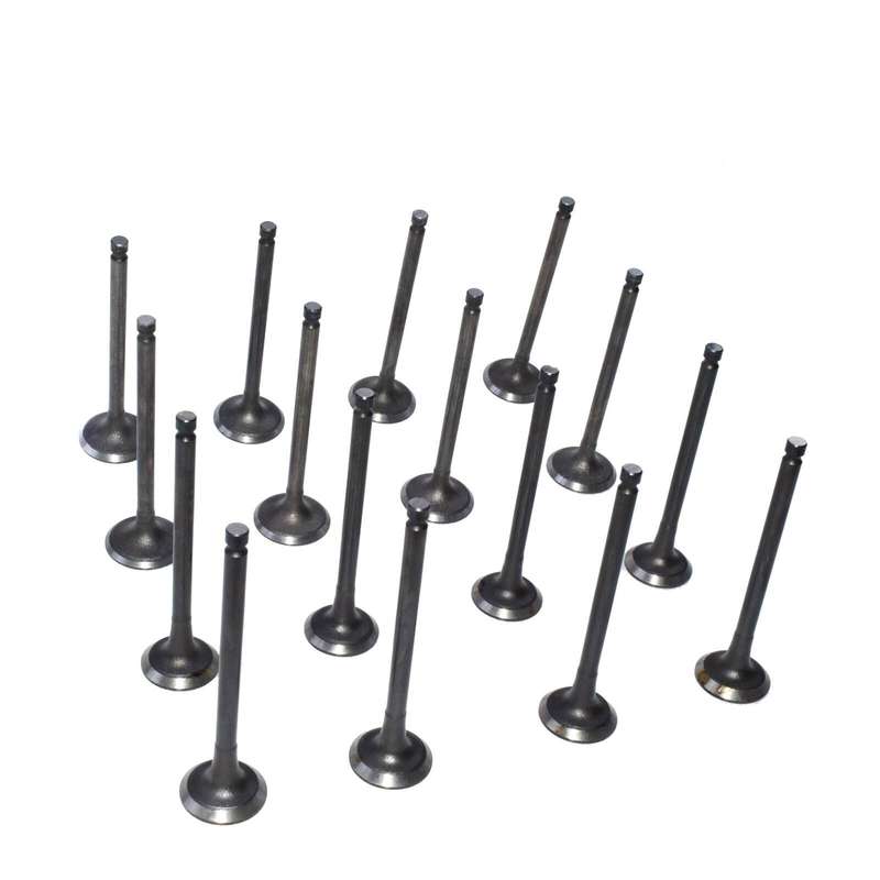 Intake Exhaust Valve Kit 16PCS for 01-12 Hyundai Kia 2.0L 22211-23600 2221223600