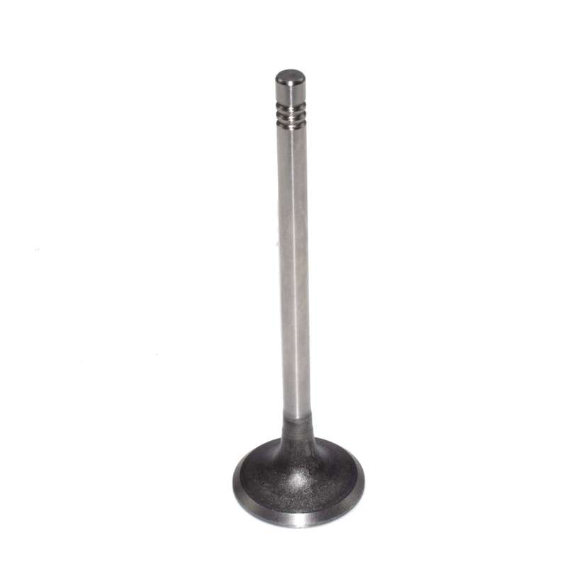 Engine drain Valve For Audi A4 A6 A8 TT VW Beetle Golf 058109611,0581