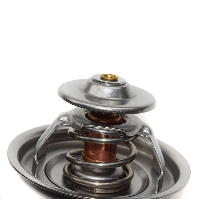 New Coolant Thermostat 89c for Audi 90 100 A4 A6 VW Golf Jetta Passat 078121113F
