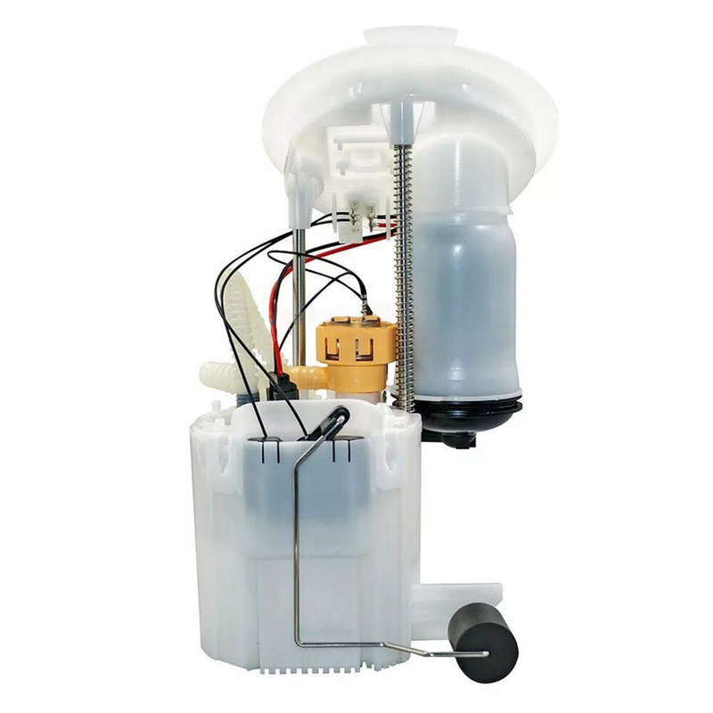 Automotive Throttle Sending Unit Module Fuel Pump Assembly 0580200330 For BMW