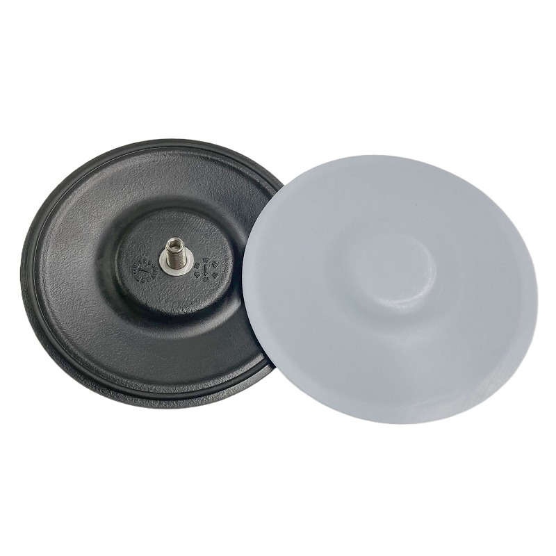 245065 Fits for Graco Husky Diaphragm for Pneumatic Diaphragm Pump