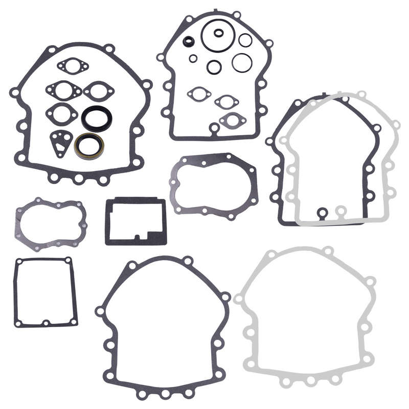Oil Seal Gasket Replaces Kit Fit for 394501 491856 495868