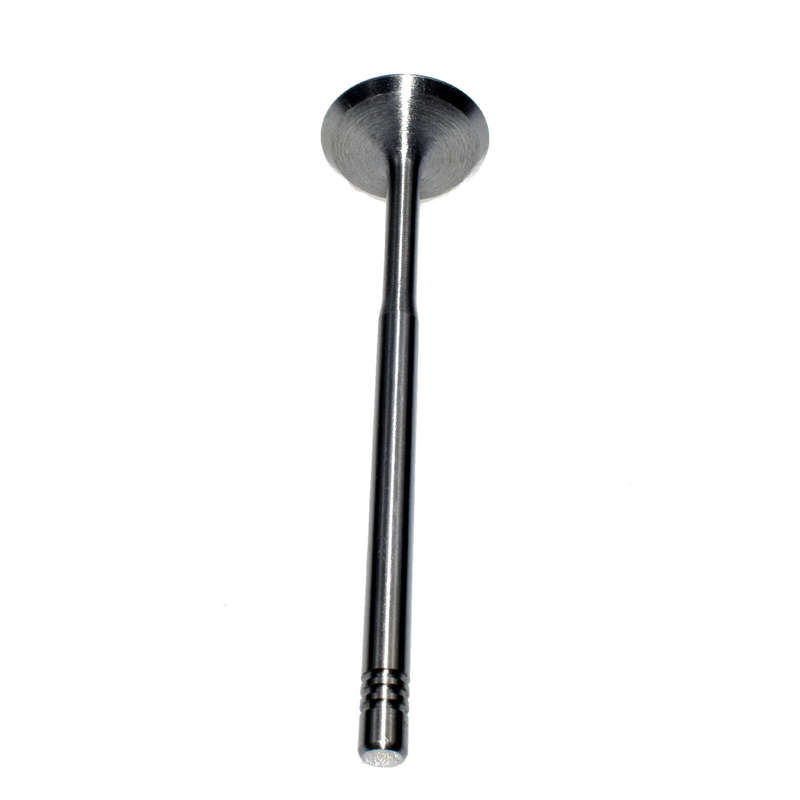 New Engine inlet Valve For VW AUDI A4 A4 Q A6 A6 Q GOLF JETTA PASSAT 058109601C