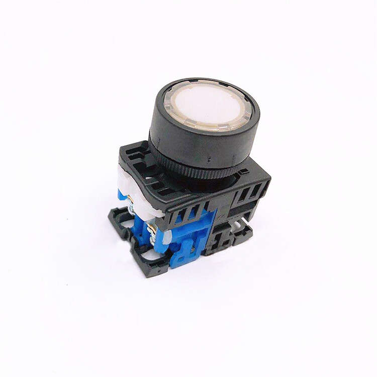 1PC NEW For FUJI AR22FOL-10E3G 10M3G 24V 220V NO NC Lamp Reset Switch Button