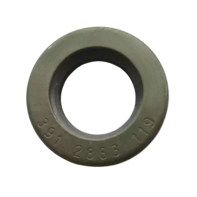 1pcs Oil Seal For PARKER GPD TTS 391 2883 119 Seal 3912883119