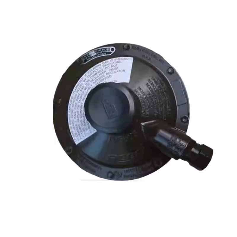 1PC New For REGO Pressure Reducing Valve LV5503B8
