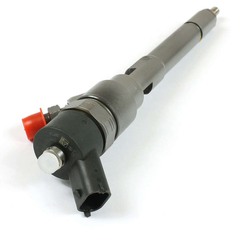 0445110269 0986435153 0445110270 Common Rail Diesel Injector For Bosch
