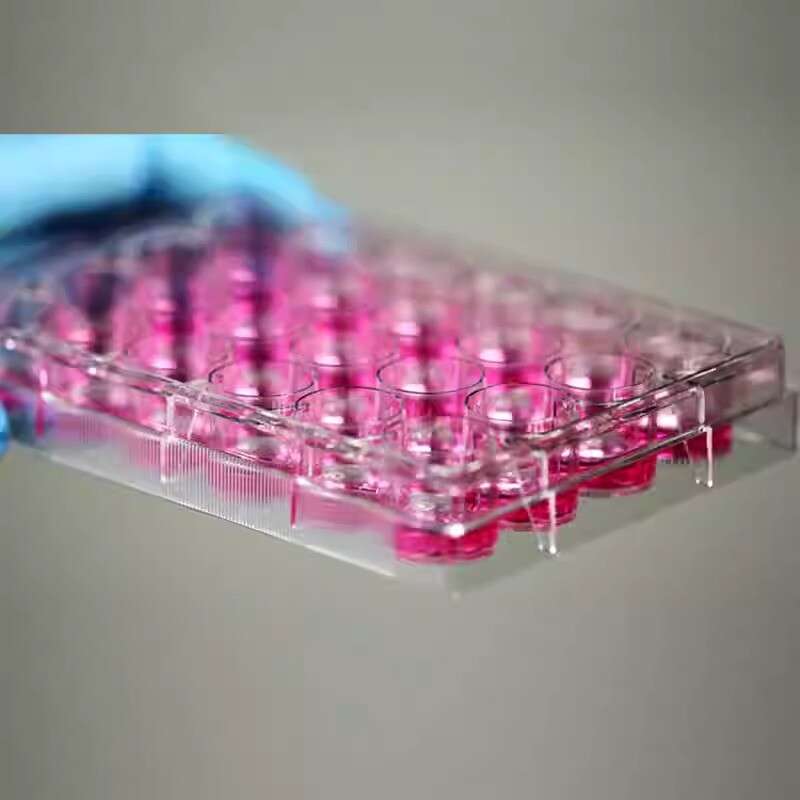 10PCS FOR NEST 6/12/24/48 Well Cell Culture Plate Flat Bottom TC 703001/712001