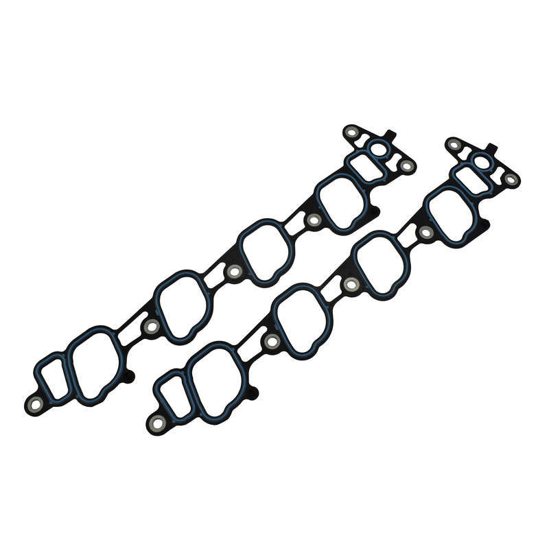 2PCS Lower Intake Manifold Gasket For Ford Mustang 4.6L SOHC V8 5.4L YL3Z9439BA