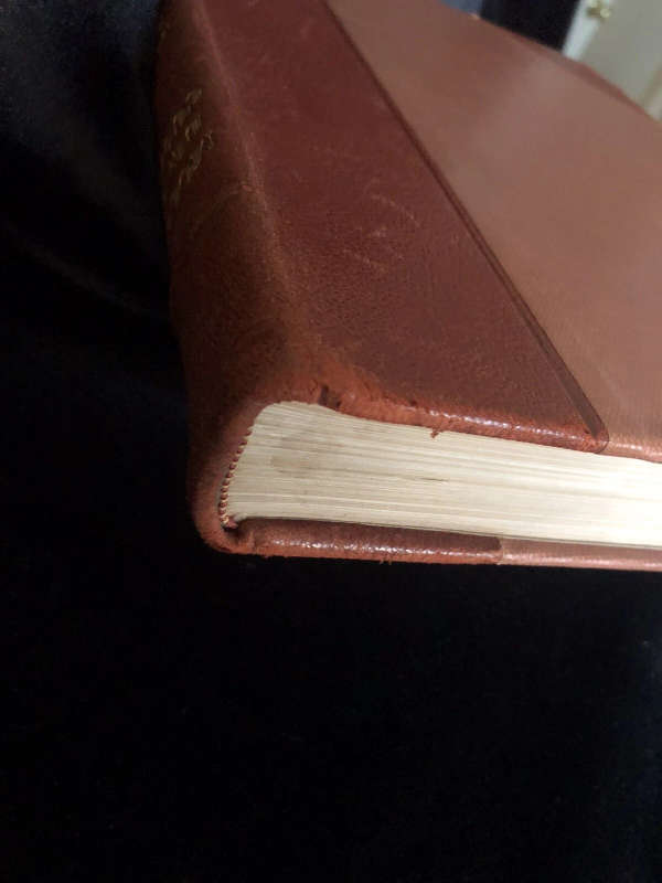 Modern Beauty Culture (1933) (half leather binding)