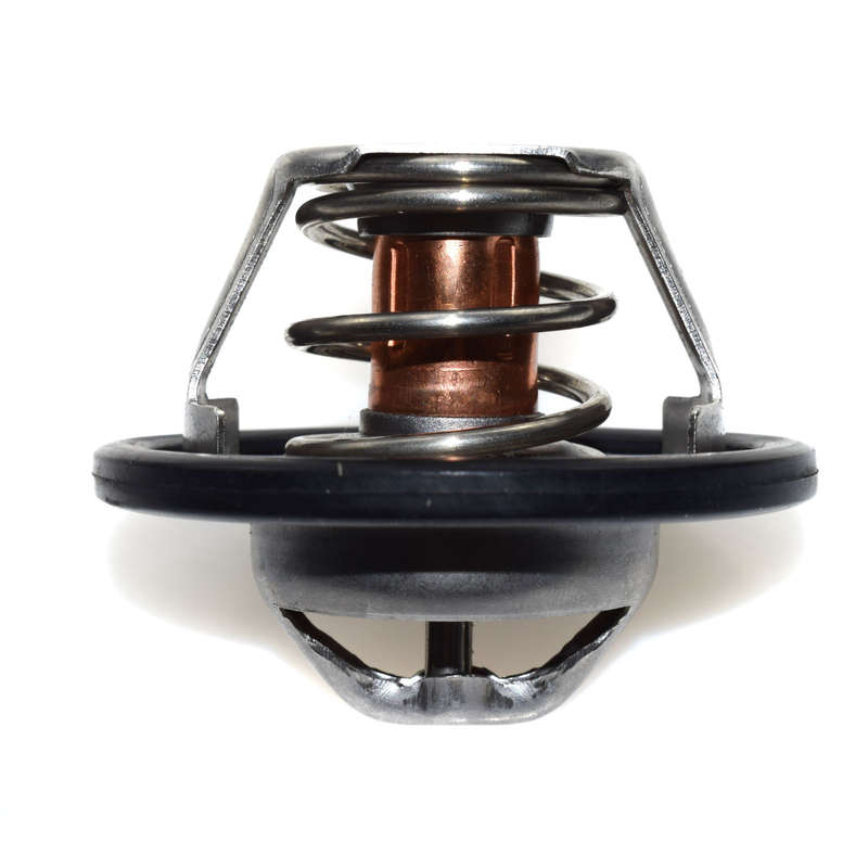 NEW Engine Coolant Thermostat W/ Gasket 902-954 Fit Nissan Renault 8200561420