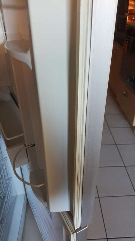 Fridge | Bottom Freezer | Swing Doors