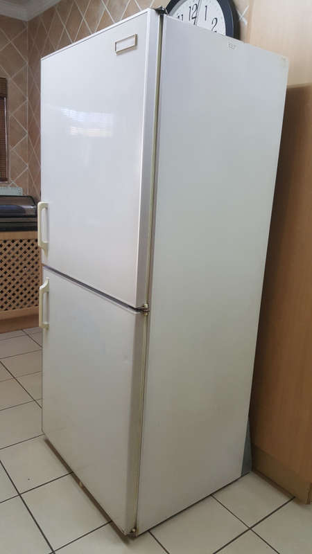 Fridge | Bottom Freezer | Swing Doors