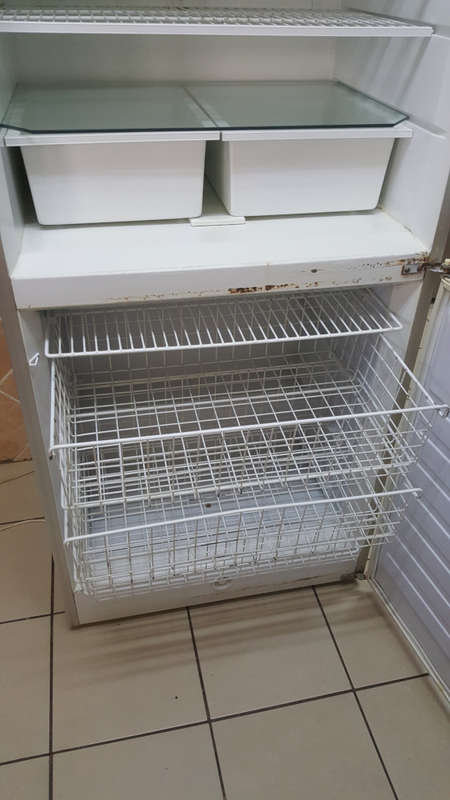 Fridge | Bottom Freezer | Swing Doors