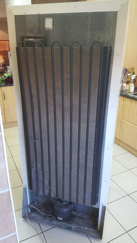 Fridge | Bottom Freezer | Swing Doors