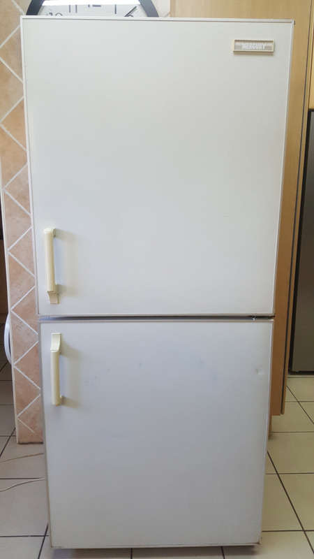 Fridge | Bottom Freezer | Swing Doors