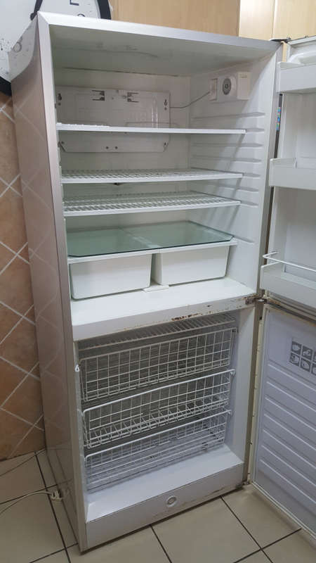 Fridge | Bottom Freezer | Swing Doors