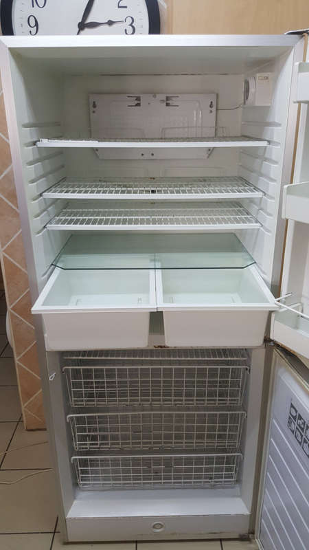 Fridge | Bottom Freezer | Swing Doors