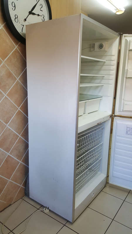 Fridge | Bottom Freezer | Swing Doors