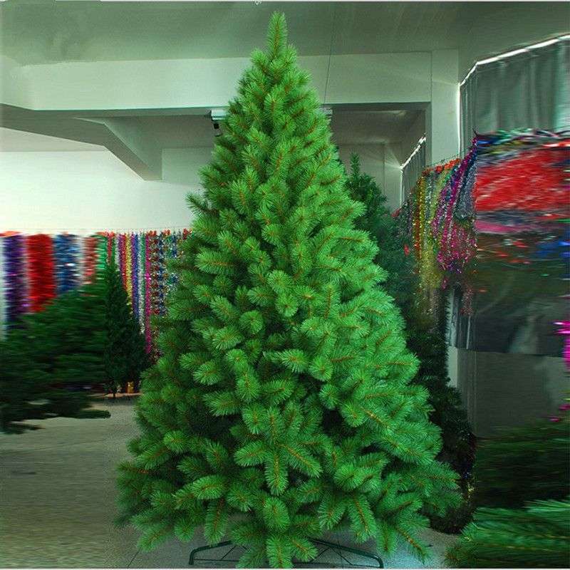 2.1M PINE CHRISTMAS TREE