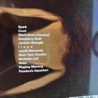 Tori Amos: From the Choirgirl Hotel : CD