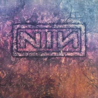 Nine Inch Nails: The Downward Spiral : CD