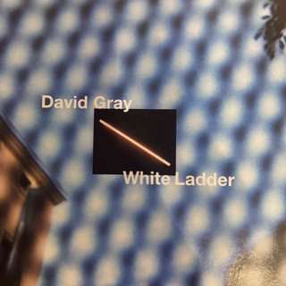 David Gray: White Ladder : CD