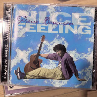 Pierre Bensusan  Nice Feeling : CD