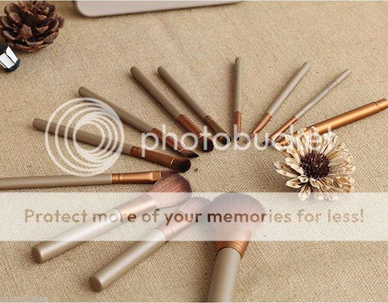 *LOCAL STOCK* Professional Makeup Cosmetic 12pcs Brush Set Gold Metal Tin Box GIFT