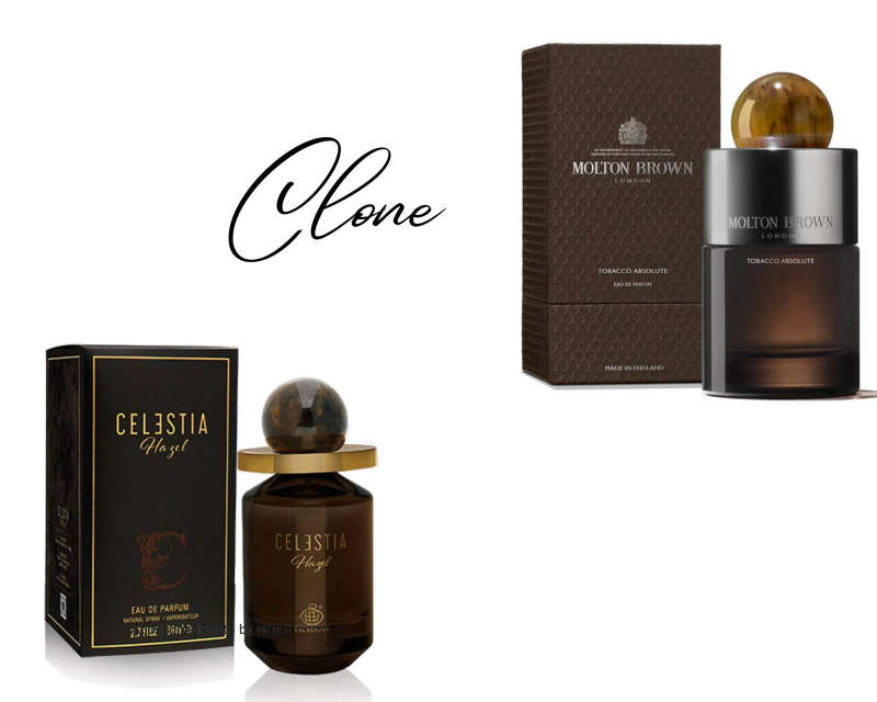 Fragrance World Celestia Hazel 80 ml Eau De Parfum Woody scent