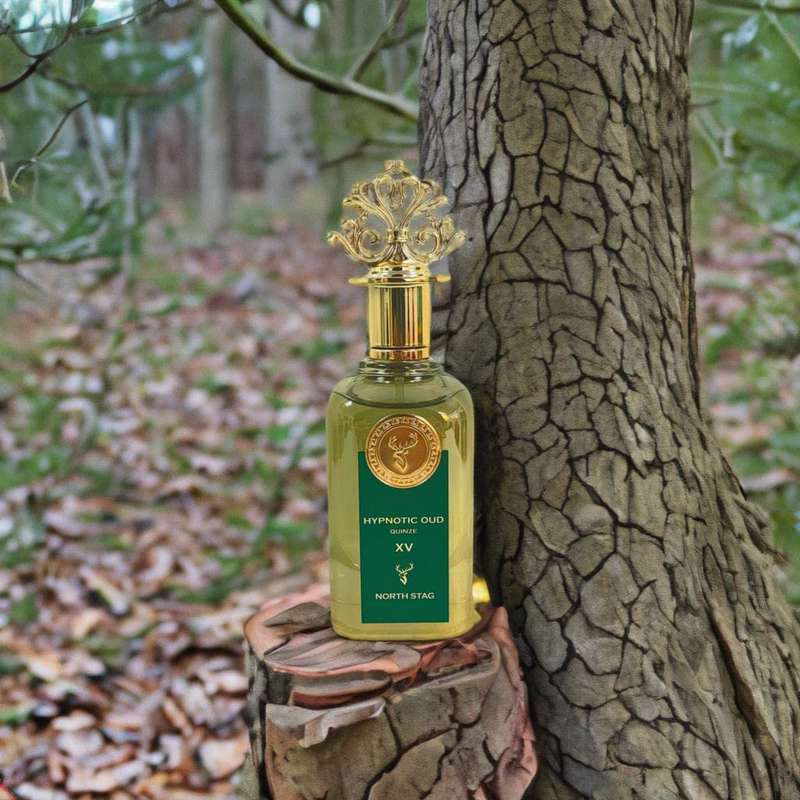 Paris Corner North Stag Hypnotic Oud Quinze 100 ml Eau De Parfum Spicy Oud scent
