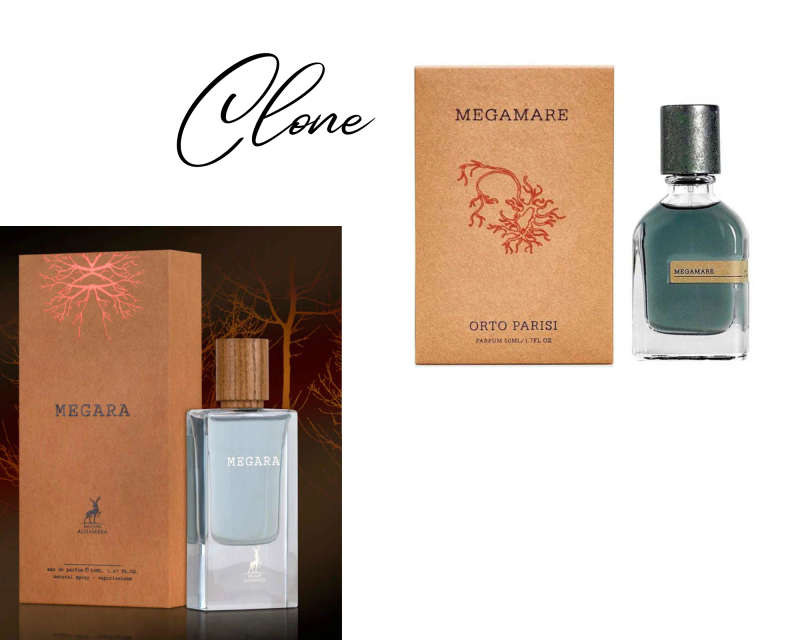Alhambra Megara 50 ml Eau De Parfum Aromatic Aquatic scent