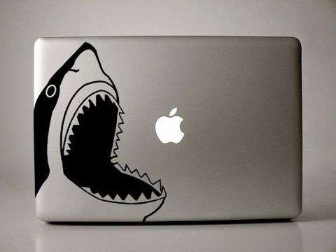 Shark laptop sticker decal