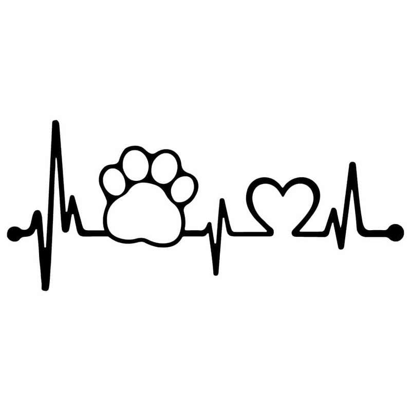 Dog Heart beat