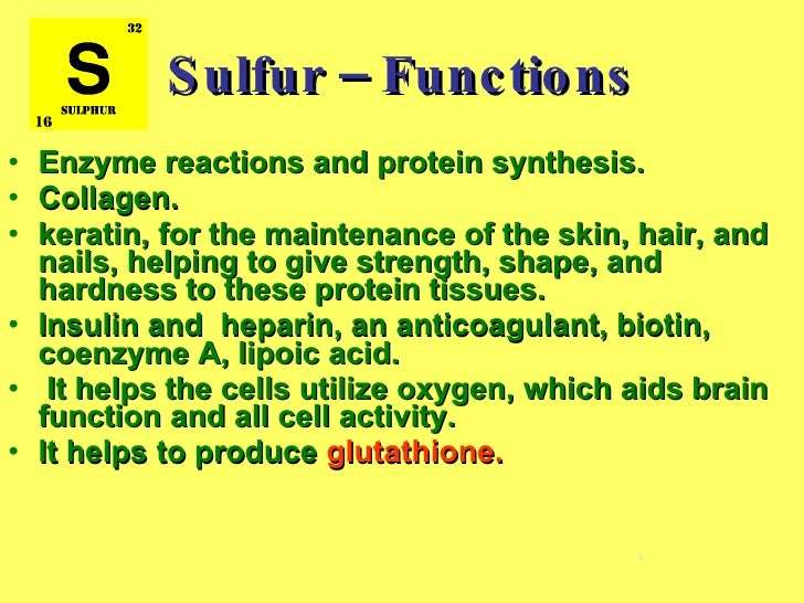 Image result for sulfur function in the body