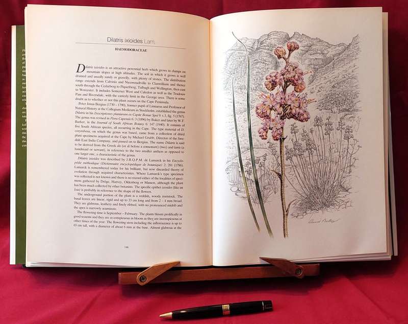 Flowers of Southern Africa