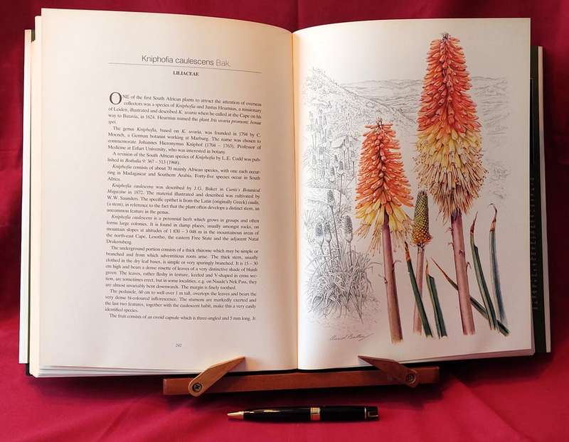 Flowers of Southern Africa