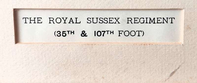 Colour etching military print of the Royal Sussex Regiment ( 35 th  & 107 th  Foot) by Richard Si...