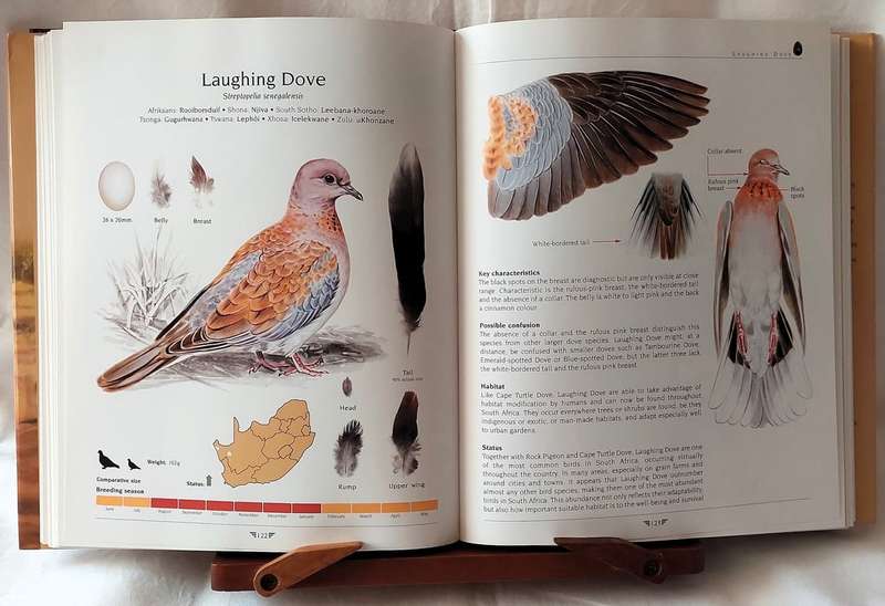 Agred's Gamebirds of South Africa - P J  Viljoen