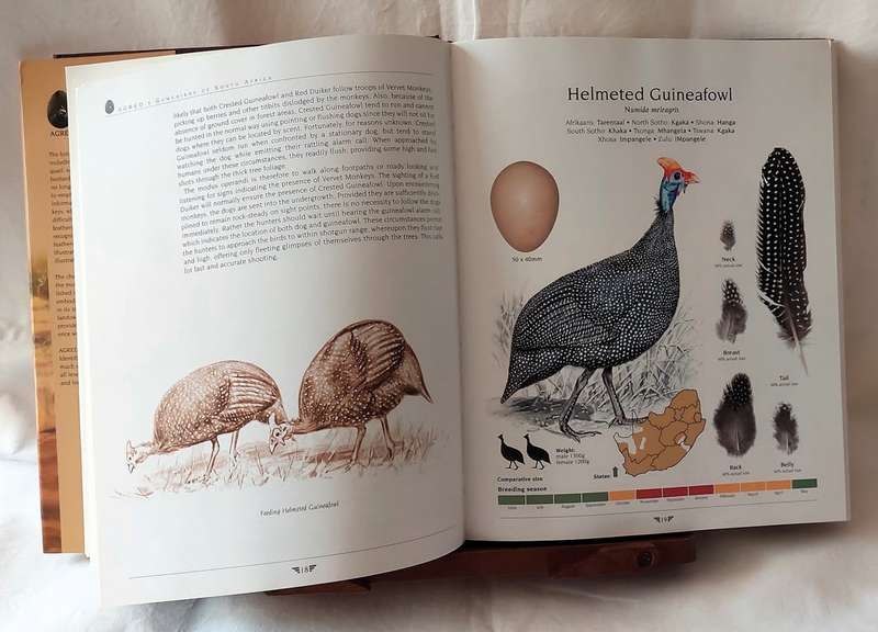Agred's Gamebirds of South Africa - P J  Viljoen