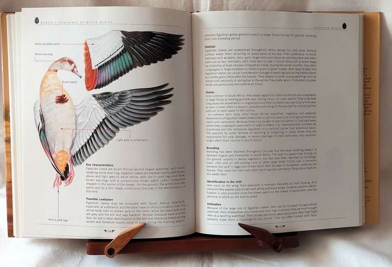 Agred's Gamebirds of South Africa - P J  Viljoen