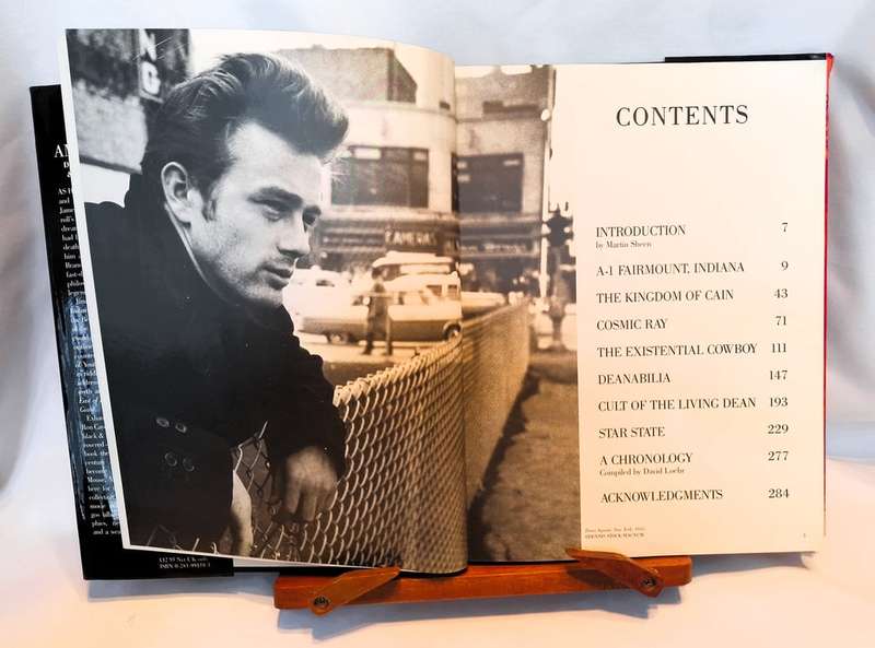 James Dean - David Dalton & Ron Cayen
