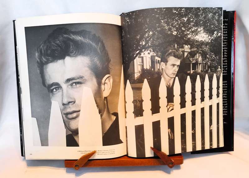 James Dean - David Dalton & Ron Cayen