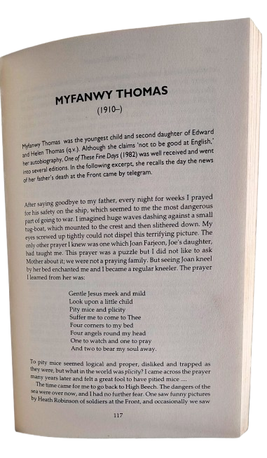 Beyond the Home Front - Yvonne M Klein