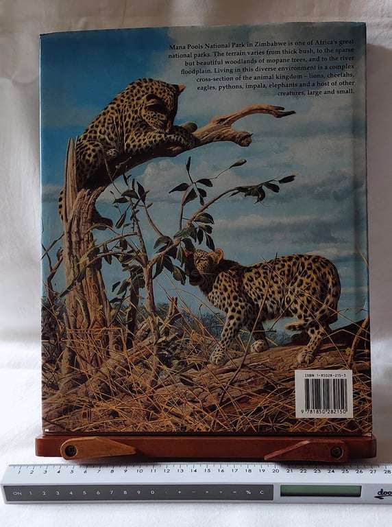 African Seasons - Wildlife at the Waterhole (Signed by the artist) Craig Bone
